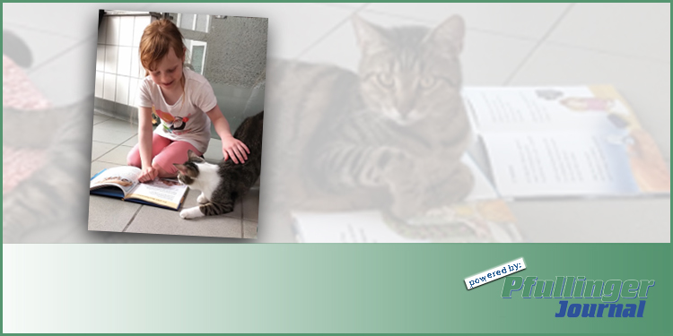 Lesen und Tiere, eine gute Kombination